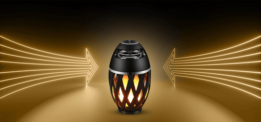 Wireless Speaker