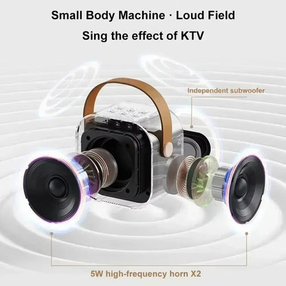 Bluetooth Portable Karaoke Speaker with Microphone