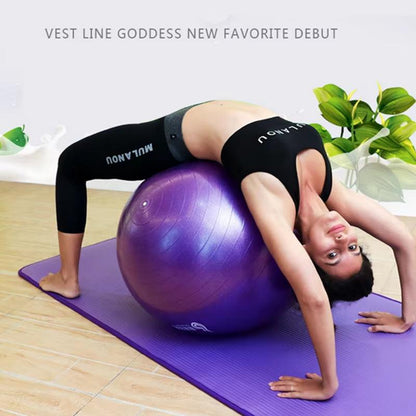 Fitness Yoga Ball