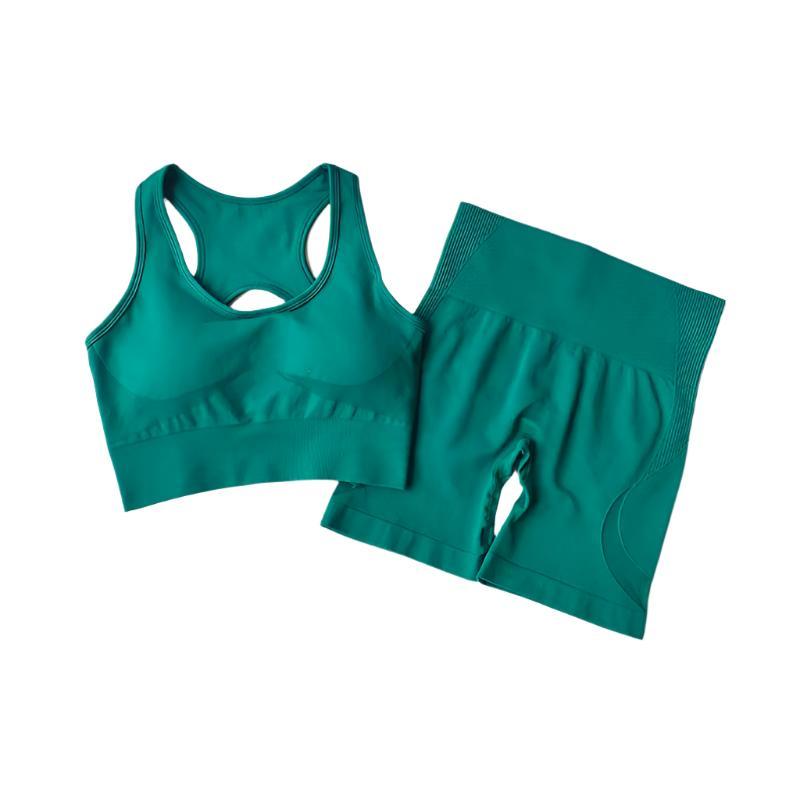 2 PCS Women Seamless Yoga Set