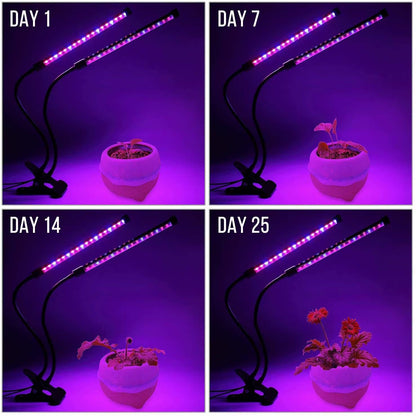 USB LED Grow Light for Indoor Plants